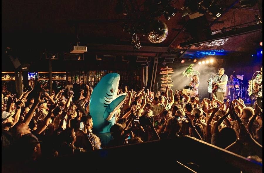Sharky McBiterson